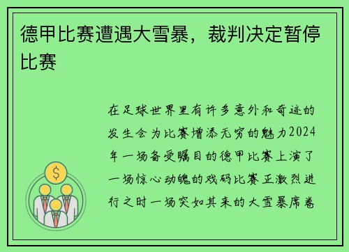 德甲比赛遭遇大雪暴，裁判决定暂停比赛